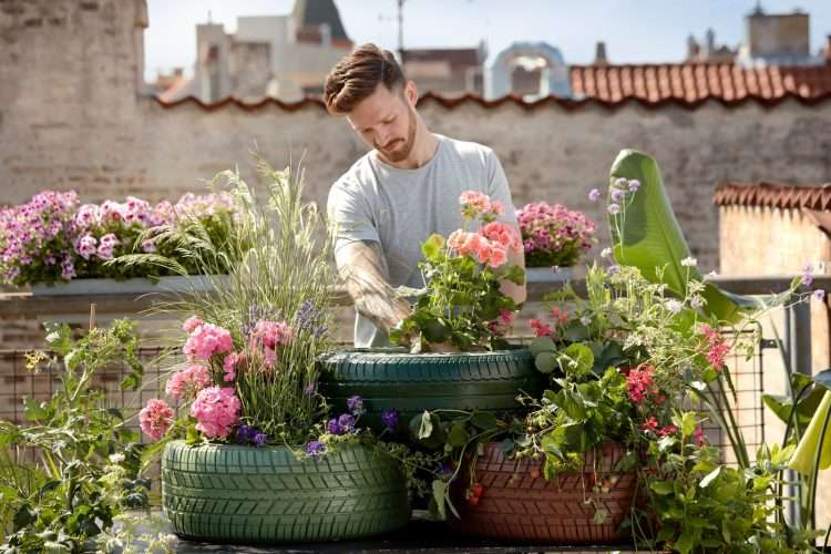 man doing gardening