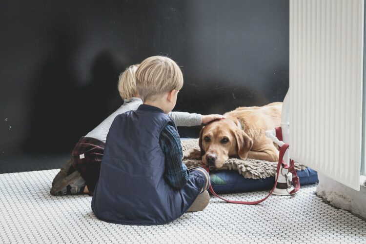 boy sitting in front of dog